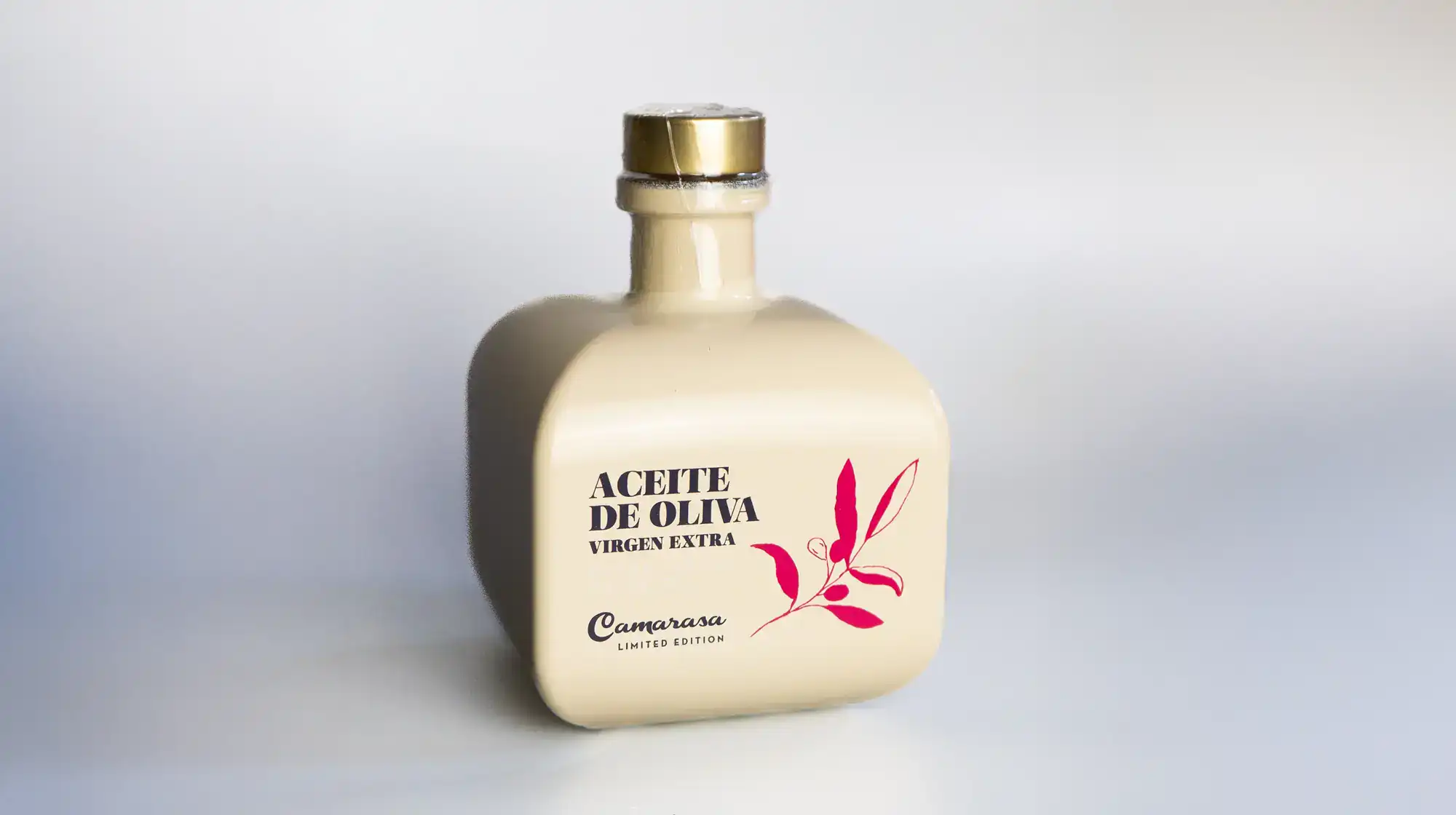 Camarasa — proyecto de Mariona Agency